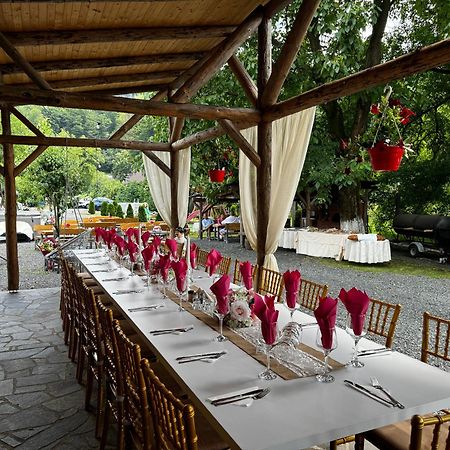 Apartament Casa Hoban Baia Mare Zewnętrze zdjęcie